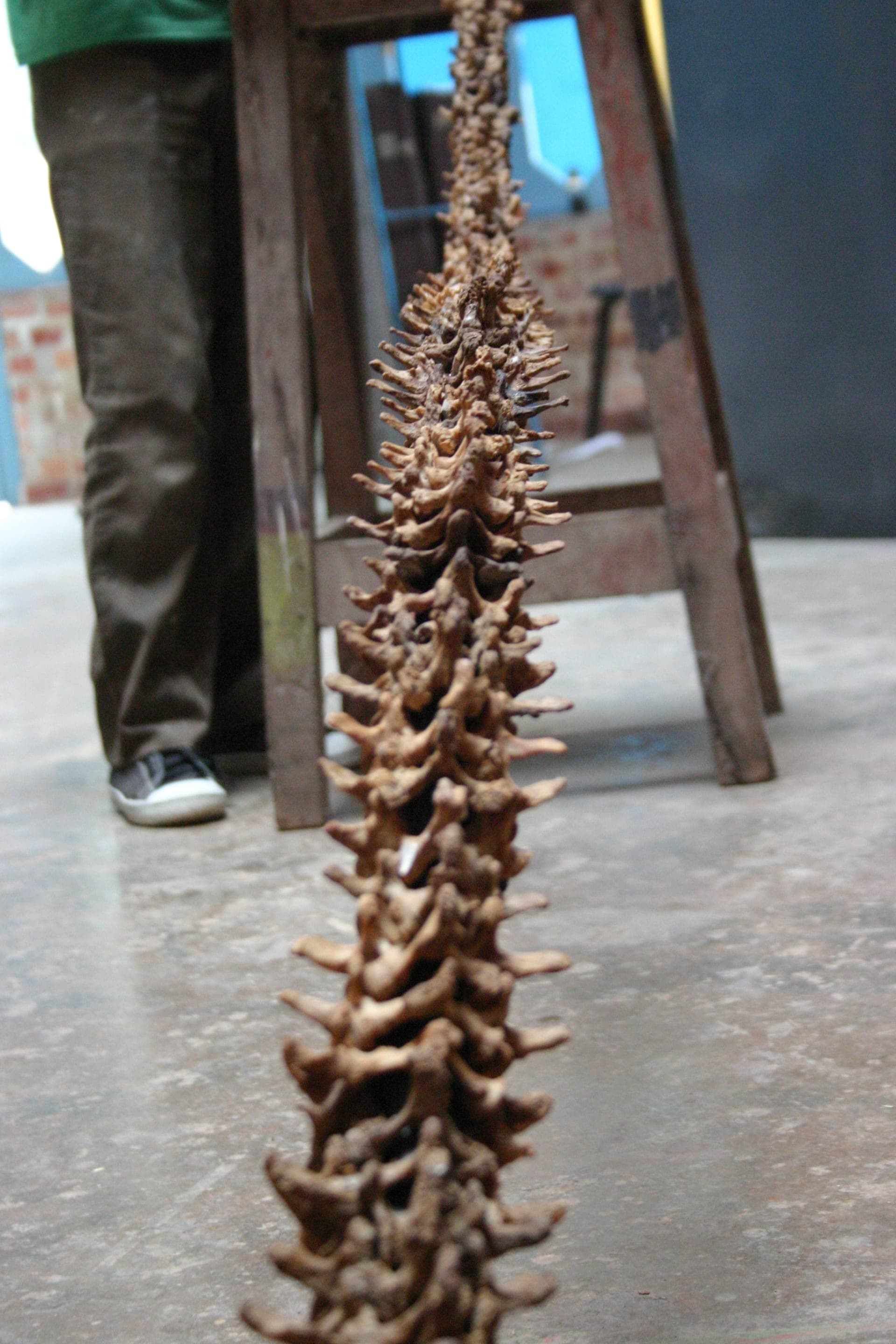 Héctor Remedios - Artwork