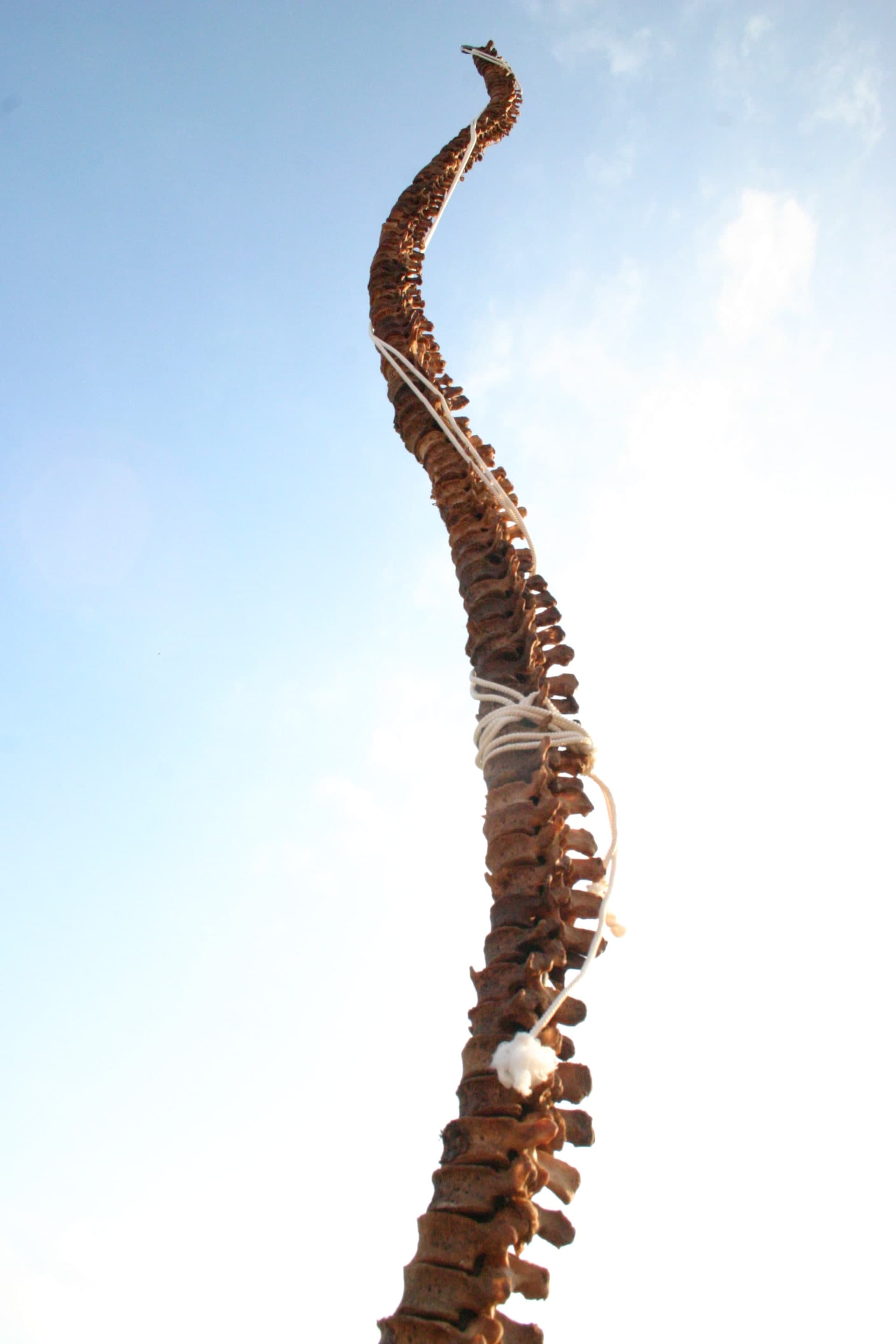 Héctor Remedios - Artwork