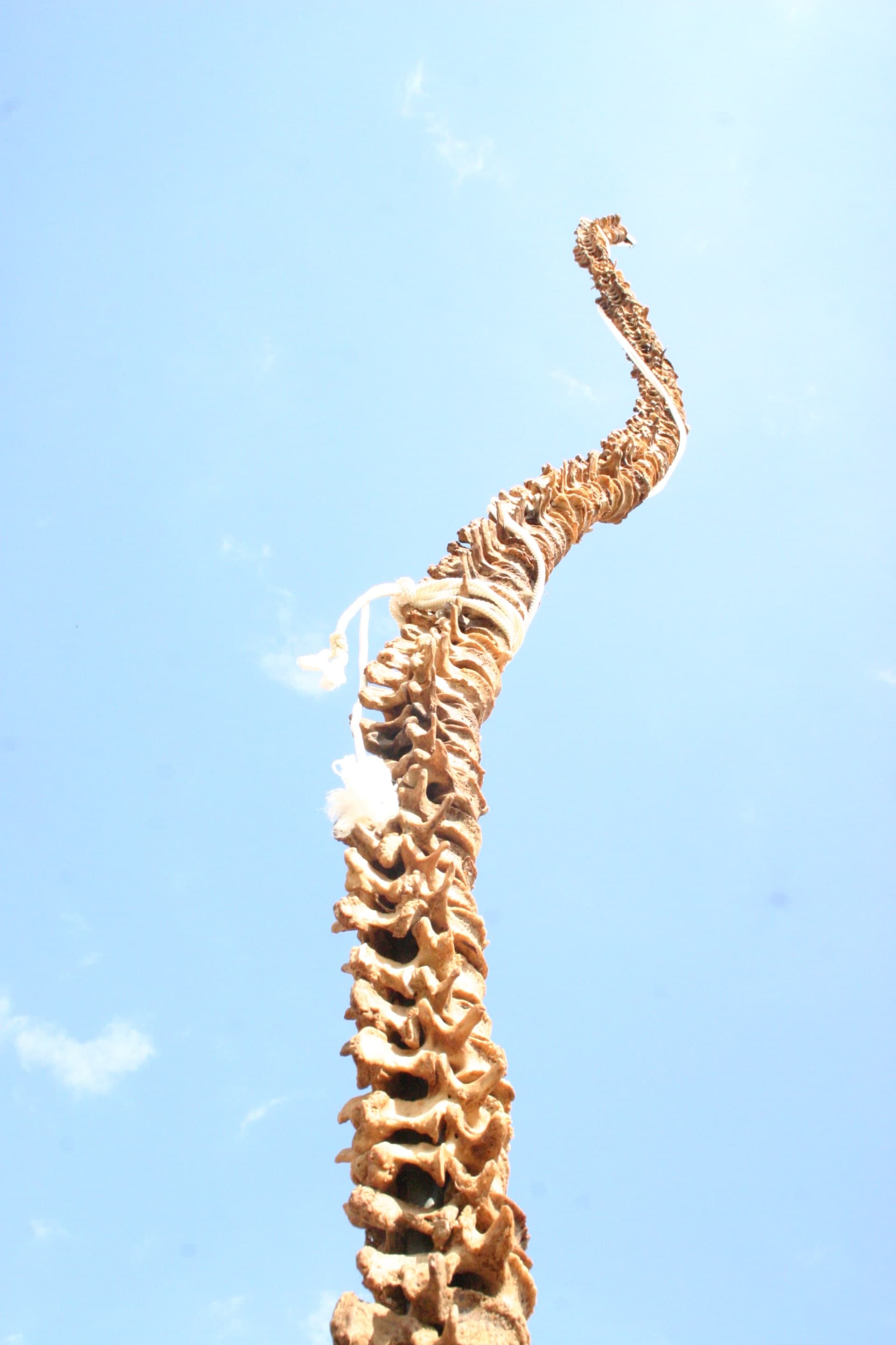 Héctor Remedios - Artwork
