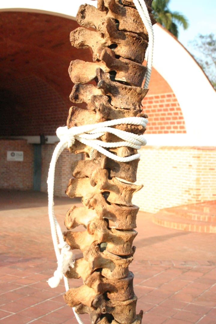 hector's work